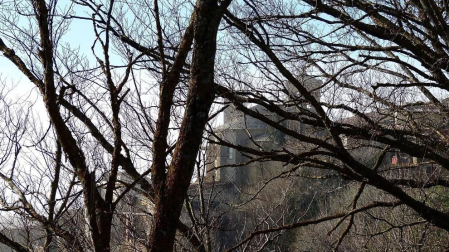 Fotos del invierno enviadas por los lectores de diariodenavarra.es