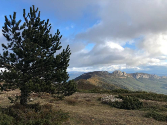 Fotos del invierno enviadas por los lectores de diariodenavarra.es