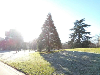 Fotos del invierno enviadas por los lectores de diariodenavarra.es