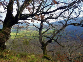 Fotos del invierno enviadas por los lectores de diariodenavarra.es