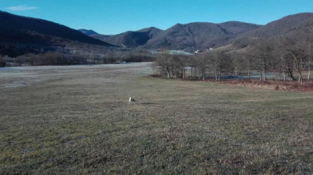 Fotos del invierno enviadas por los lectores de diariodenavarra.es