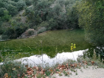 Fotos del invierno enviadas por los lectores de diariodenavarra.es