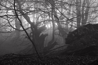 Fotos del invierno enviadas por los lectores de diariodenavarra.es