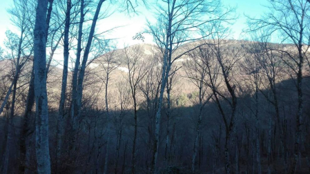 Fotos del invierno enviadas por los lectores de diariodenavarra.es