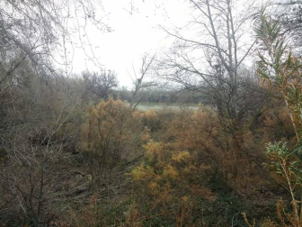 Fotos del invierno enviadas por los lectores de diariodenavarra.es