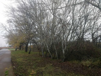 Fotos del invierno enviadas por los lectores de diariodenavarra.es