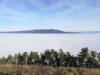 Fotos del invierno enviadas por los lectores de diariodenavarra.es