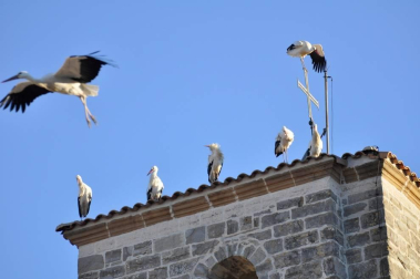 Fotos del invierno enviadas por los lectores de diariodenavarra.es