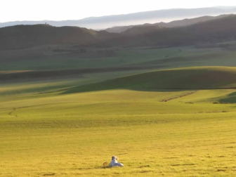 Fotos del invierno enviadas por los lectores de diariodenavarra.es