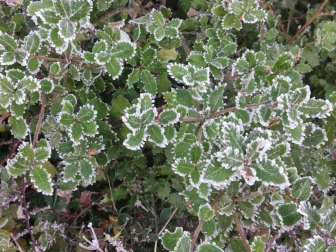 Fotos del invierno enviadas por los lectores de diariodenavarra.es