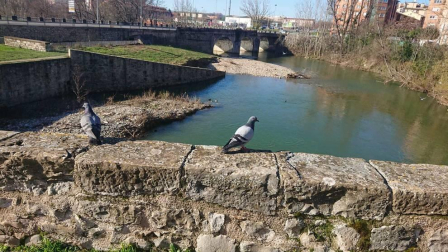 Fotos del invierno enviadas por los lectores de diariodenavarra.es