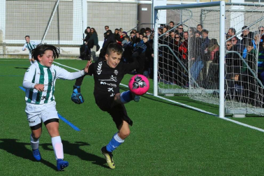 Fotos de partidos disputados el 27 de diciembre en la 38 edición del Torneo Interescolar Fundación Osasuna