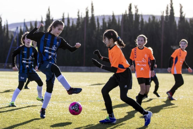 Fotos de partidos disputados el 28 de diciembre en la 38 edición del Torneo Interescolar Fundación Osasuna