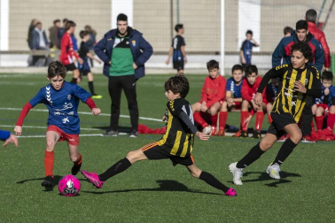Fotos de partidos disputados el 28 de diciembre en la 38 edición del Torneo Interescolar Fundación Osasuna