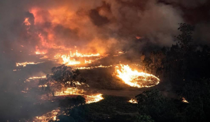Centenares de incendios arden en la última jornada del 2019 en Australia