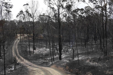 Centenares de incendios arden en la última jornada del 2019 en Australia