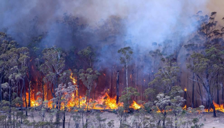 Centenares de incendios arden en la última jornada del 2019 en Australia