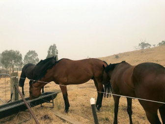 Buques militares evacúan a las personas atrapadas en Australia por los incendios