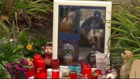 Mueren 30 animales por un incendio en un zoo alemán