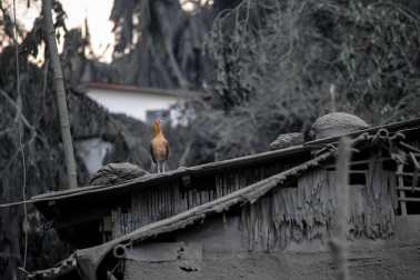 Filipinas mantiene la alerta por el volcán Taal, que ya ha desplazado a 30.000 personas