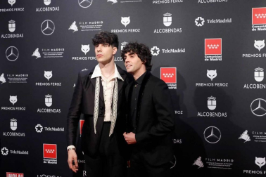 Los Premios Feroz 2020 han encumbrado a Pedro Almodóvar por su película 'Dolor y gloria', con una gala ácida que este año ha vuelto a celebrarse en Madrid, donde una de las protagonistas de la noche ha sido Penélope Cruz.