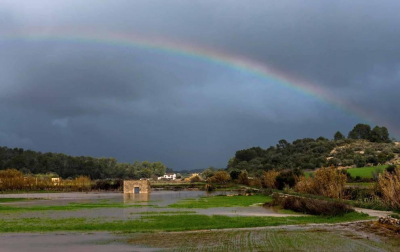 Todas las fotos de incidentes causados por el temporal Gloria en España