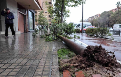 Todas las fotos de incidentes causados por el temporal Gloria en España