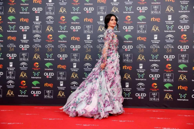 Todas las fotos de los Premios Goya de 2020