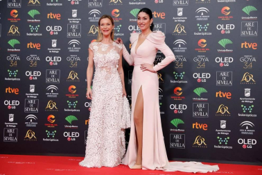 Todas las fotos de los Premios Goya de 2020