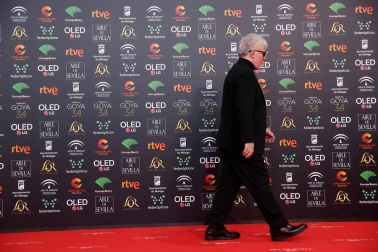 Todas las fotos de los Premios Goya de 2020