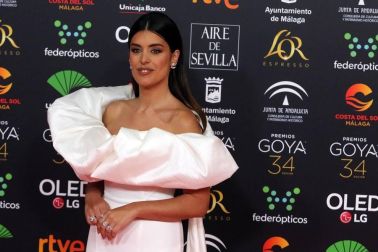 Todas las fotos de los Premios Goya de 2020