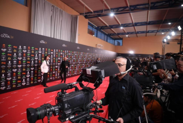 Todas las fotos de los Premios Goya de 2020