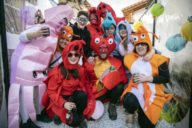 Todas las fotos del Carnaval de Sunbilla 2020