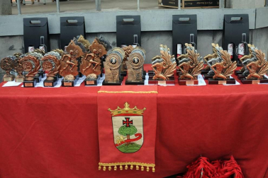Uno de los actos más populares de las fiestas de la Virgen de la Paz, que se celebran cada mes de enero en Cintruénigo, es el cross en honor a la patrona. Desde primera hora de la mañana, los atletas de las diferentes categorías se reunieron en Los Paseos, punto de partida y llegada de la carrera. La prueba, que alcanzó su edición número trece, contó con la participación de 349 corredores.