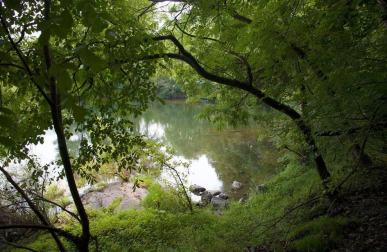 Imágenes de Sunbilla. Dos barrios unidos por un viejo puente de piedra.