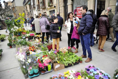 Todas las fotos de la celebración de las ferias de febrero en Tafalla