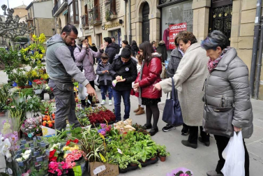 Todas las fotos de la celebración de las ferias de febrero en Tafalla