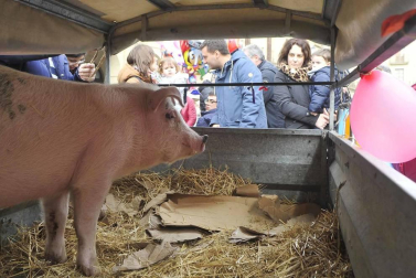 Cientos de personas participaron en los diferentes actos programados en la jornada central de las ferias
