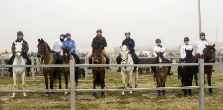 Los vecinos de Tafalla disfrutaron del día 6 al 9 de las tradicionales ferias de febrero. El domingo se celebraron los eventos relacionados con el ganado equino, con la entrada al recito ferial y la concentración y paseo de caballistas y enganches.