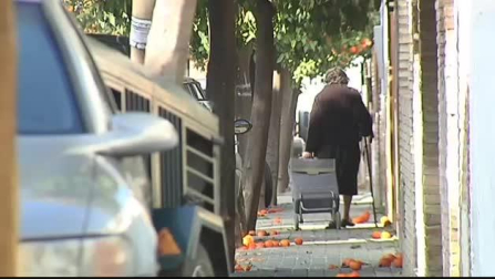 Vídeo | Sevilla exprime sus naranjos
