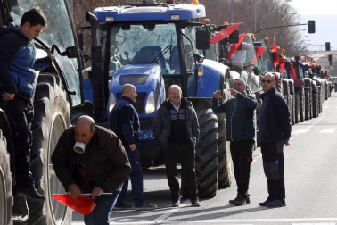 Imágenes de los tractores para la protesta agraria con tractores en Pamplona.