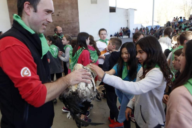 Carnavales en Navarra 2020