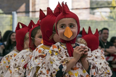 Imágenes de los Carnavales en las diferentes localidades de Tierra Estella