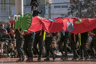 Imágenes de los Carnavales en las diferentes localidades de Tierra Estella