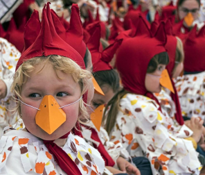 Imágenes de los Carnavales en las diferentes localidades de Tierra Estella