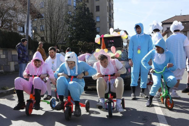 Galería de fotos del desfile de Carnaval celebrado el sábado 22 de febrero en Elizondo