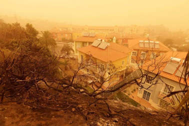 Galería de fotos de Santa Cruz de Tenerife cubierta por la calima que afecta a Canarias desde hace días