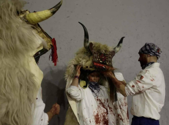 Fotos de la celebración del Carnaval rural en Alsasua este 25 de febrero, con los momotxorros como protagonistas.