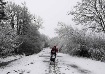 Fotos de la nieve en las localidades navarras de Roncesvalles y Burguete