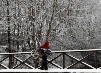 Fotos de la nieve en las localidades navarras de Roncesvalles y Burguete